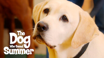The Dog Who Saved Summer